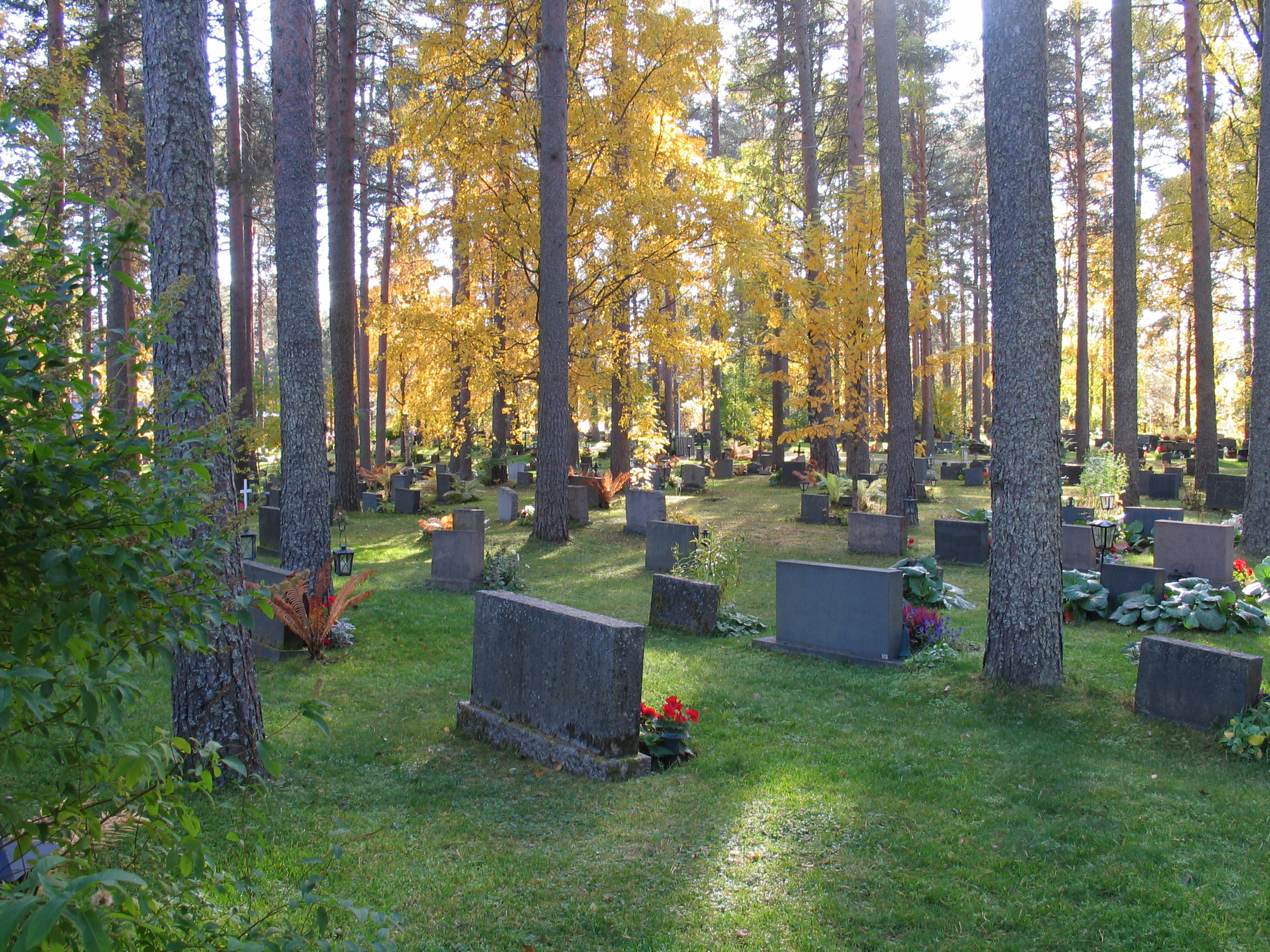 Hautamuistomerkkejä Kuhmon uudella hautausmaalla.